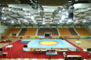Wrestling Area