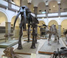 Museum